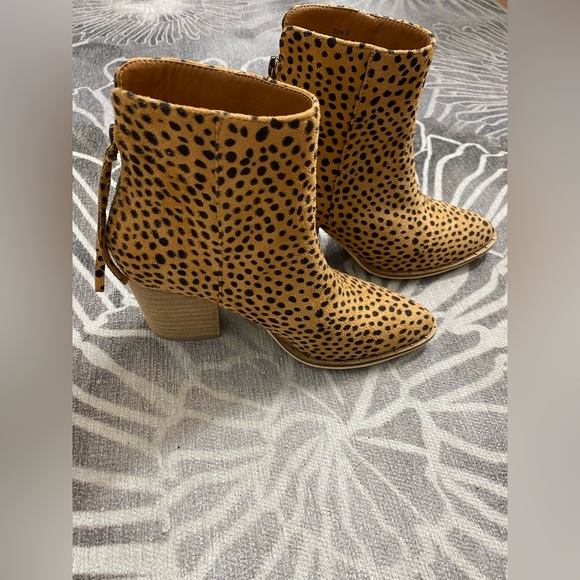 Ccocci Leopard print booties - Picture 1 of 3